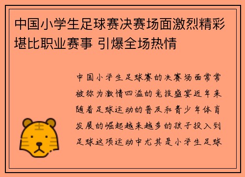中国小学生足球赛决赛场面激烈精彩堪比职业赛事 引爆全场热情