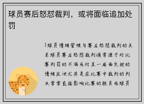 球员赛后怒怼裁判，或将面临追加处罚